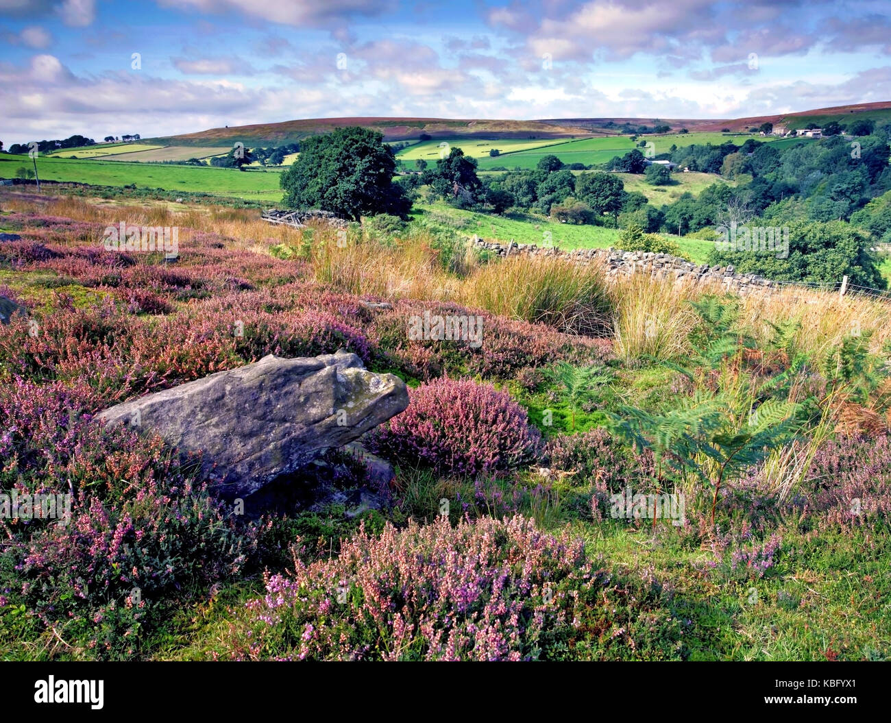A summer view of heather clad Commondale Moor in North Yorkshire, England, UK Stock Photo