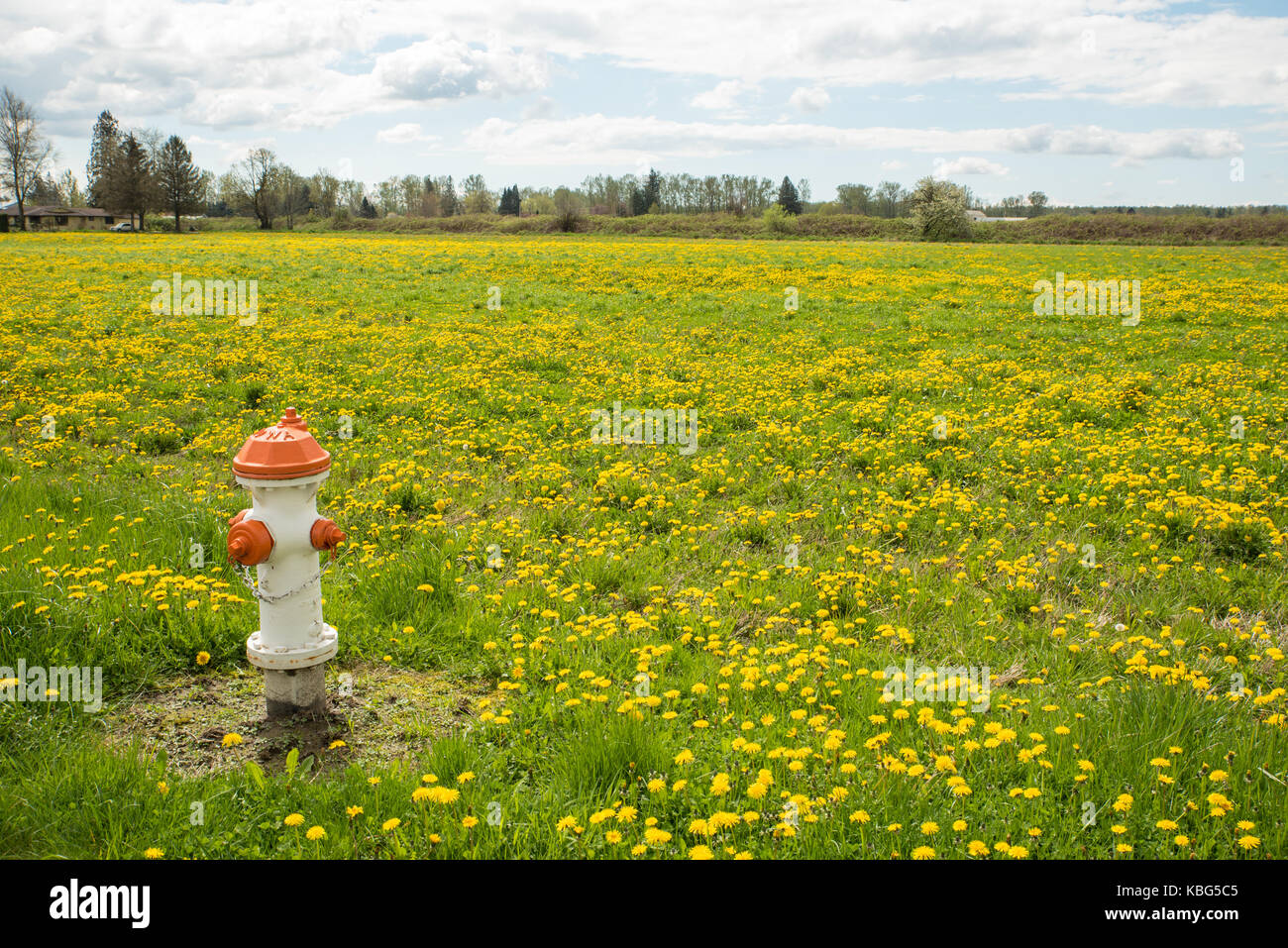 Everson hires stock photography and images Alamy