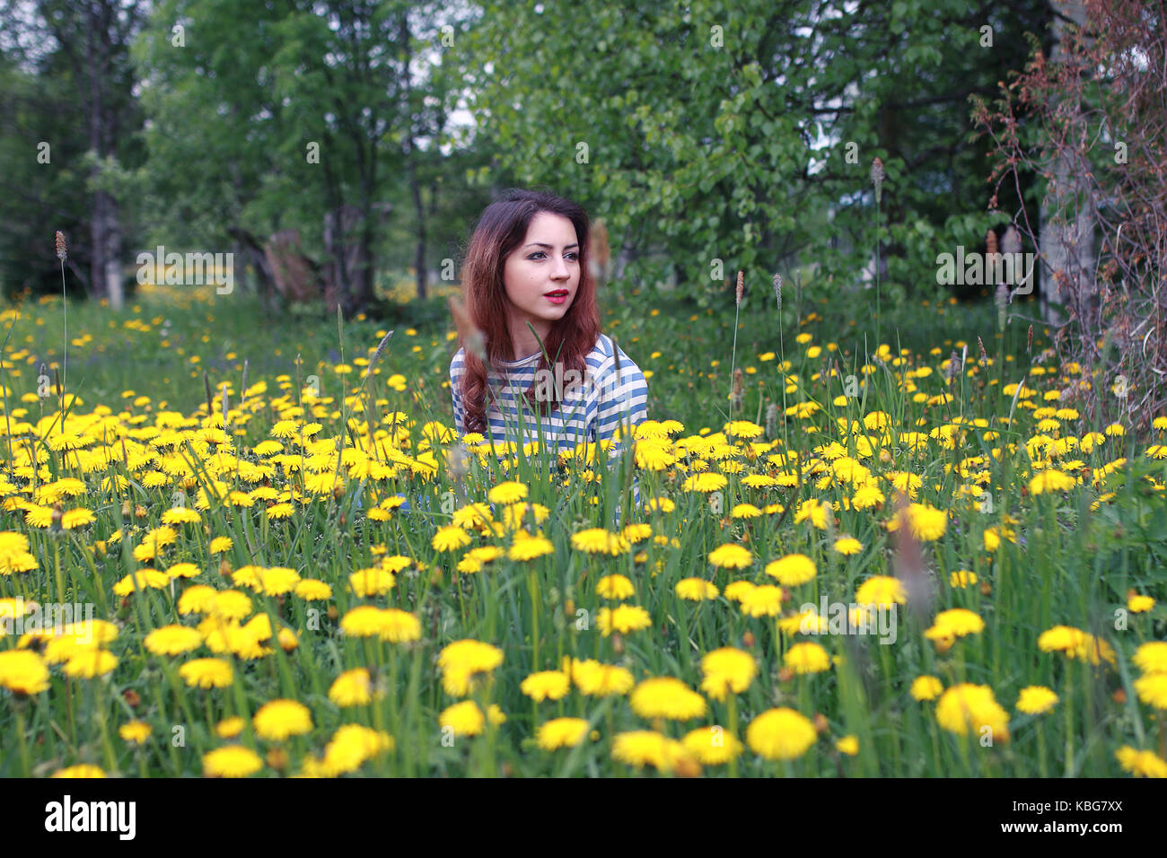 girl resting on a sunny day in meadow of yellow dandelions Stock Photo ...