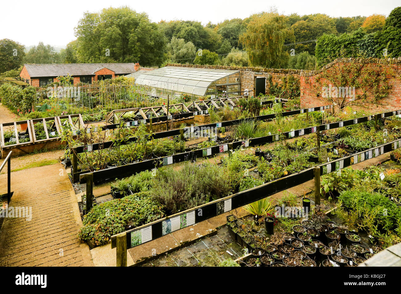 Gardening Service Brea thumbnail