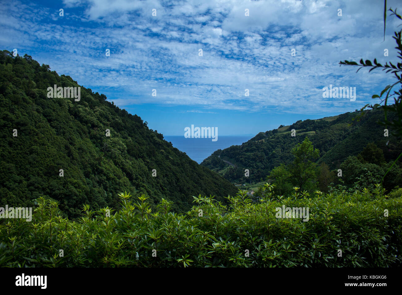 Azores islands belong to Portugal, from inside a crater that started to