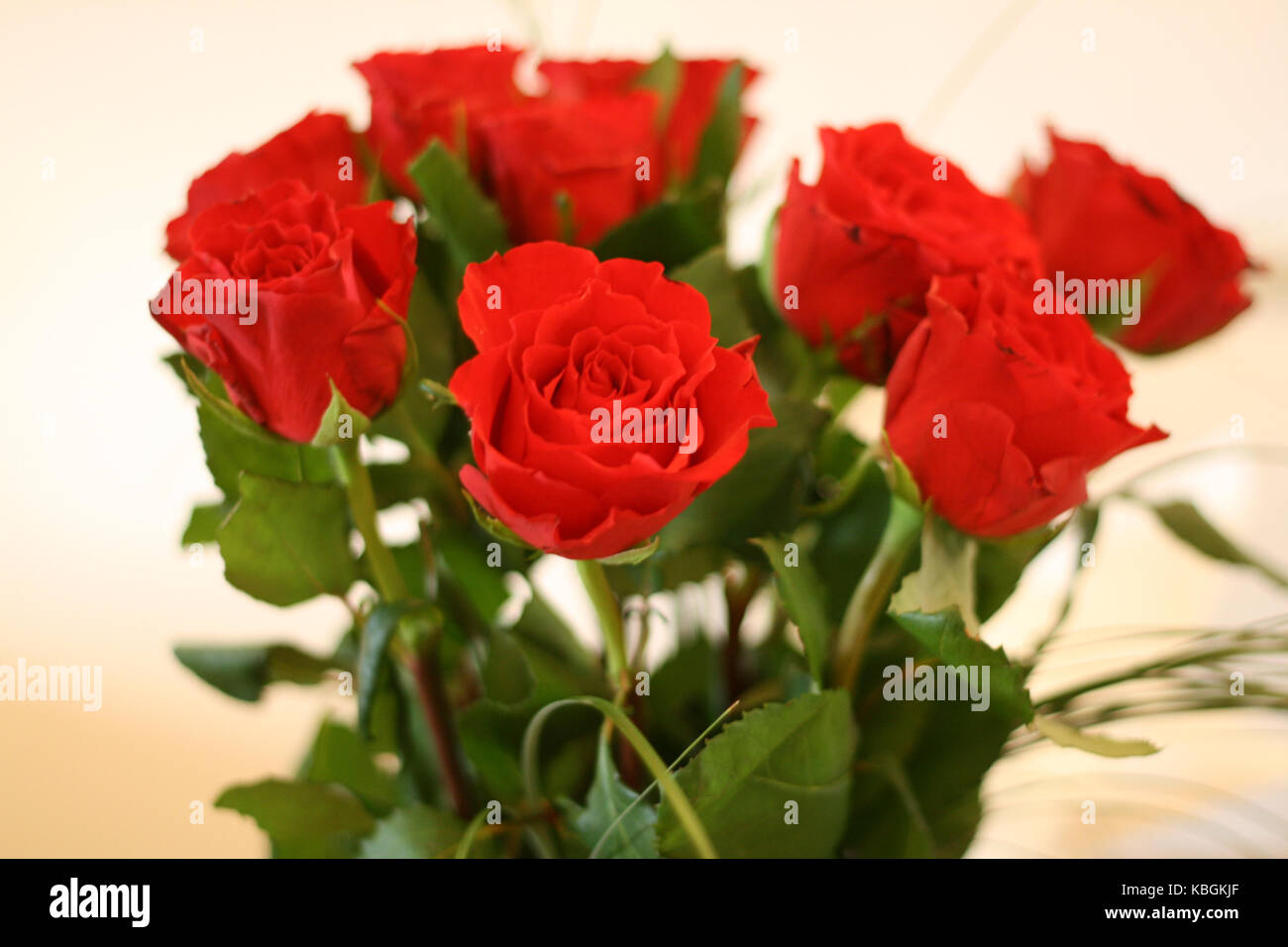Dozen Red Roses Stock Photo - Alamy