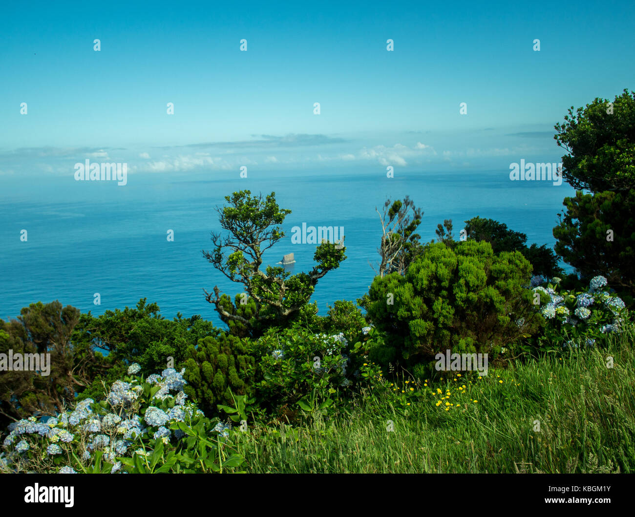 Azores islands belong to Portugal, from inside a crater that started to