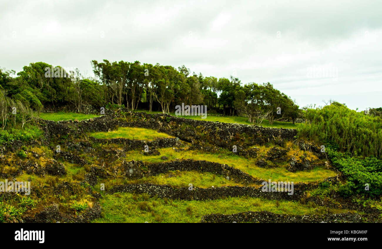 Azores islands belong to Portugal, from inside a crater that started to