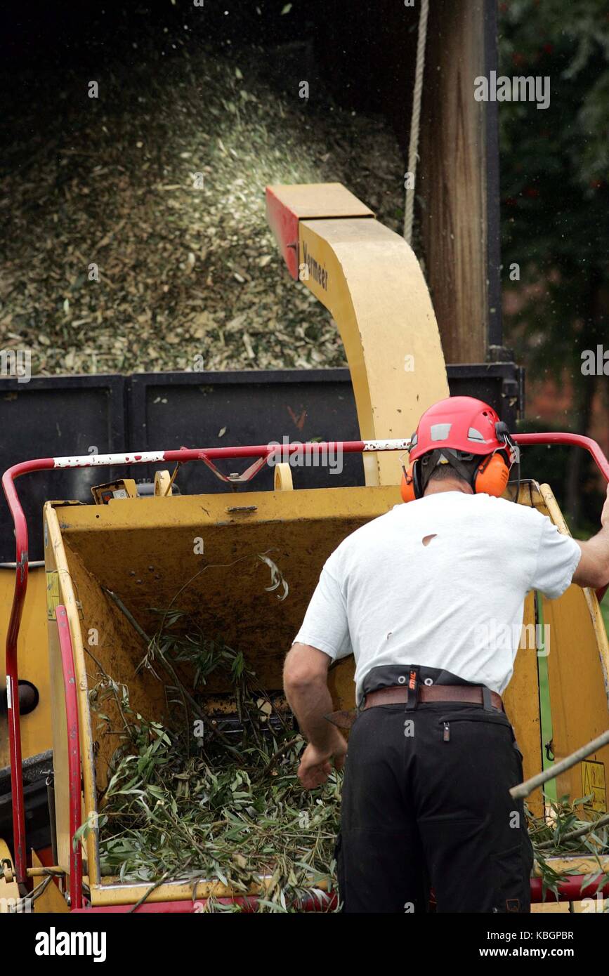 Man using a chipper to dispose of tree branches Stock Photo Alamy