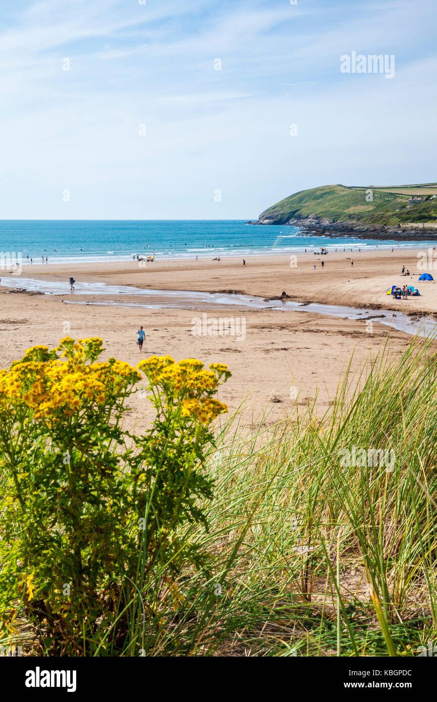 The sandy beach at Croyde in Devon during the summer holiday season. Stock Photo