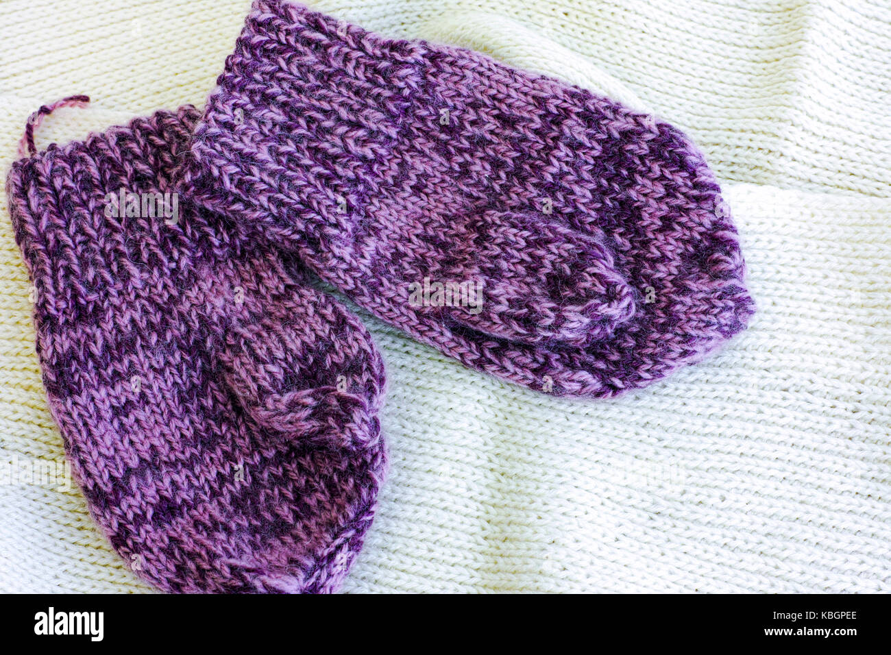 Two purple knitted mittens on white scarf. Stock Photo