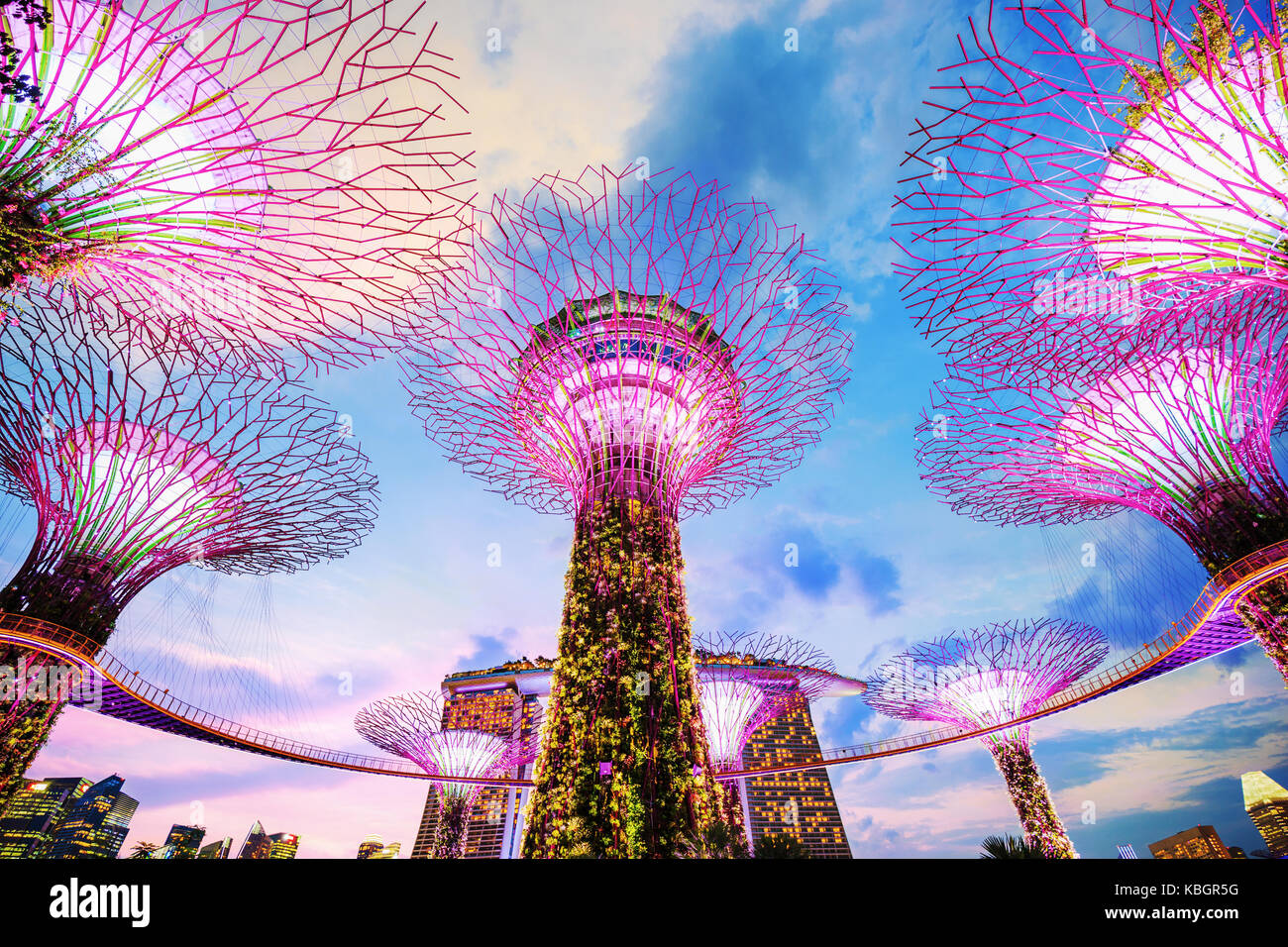 Gardens by the bay at twilight time, Singapore Stock Photo - Alamy