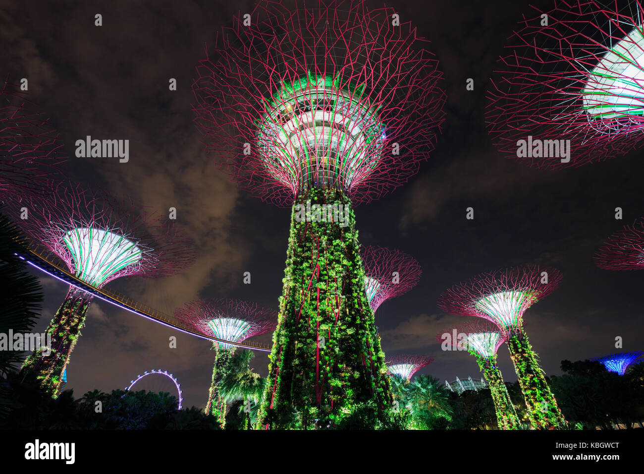 Beautiful light gardens by the bay hi-res stock photography and images ...