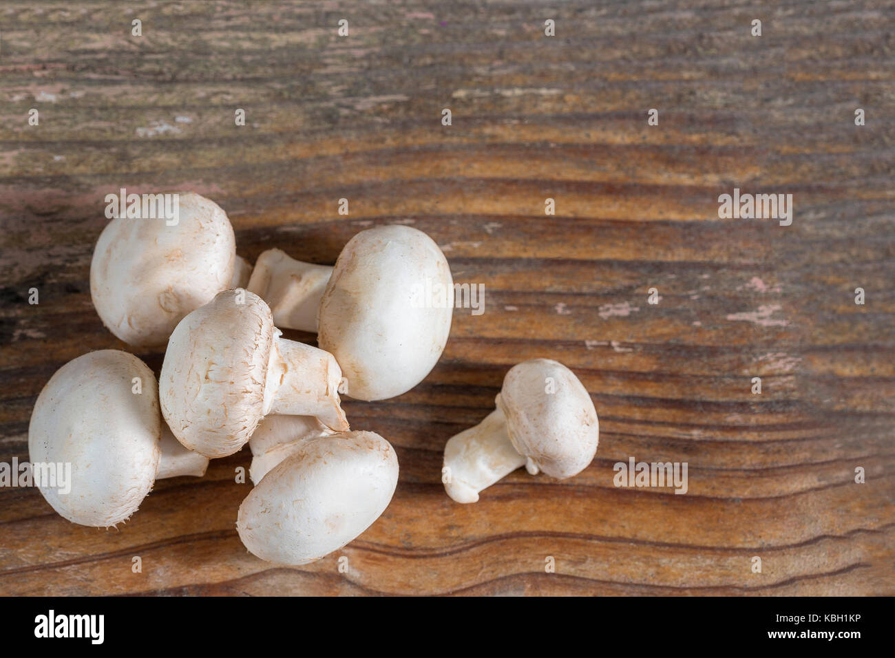 Mushroom champignon isolated on wooden background Stock Photo