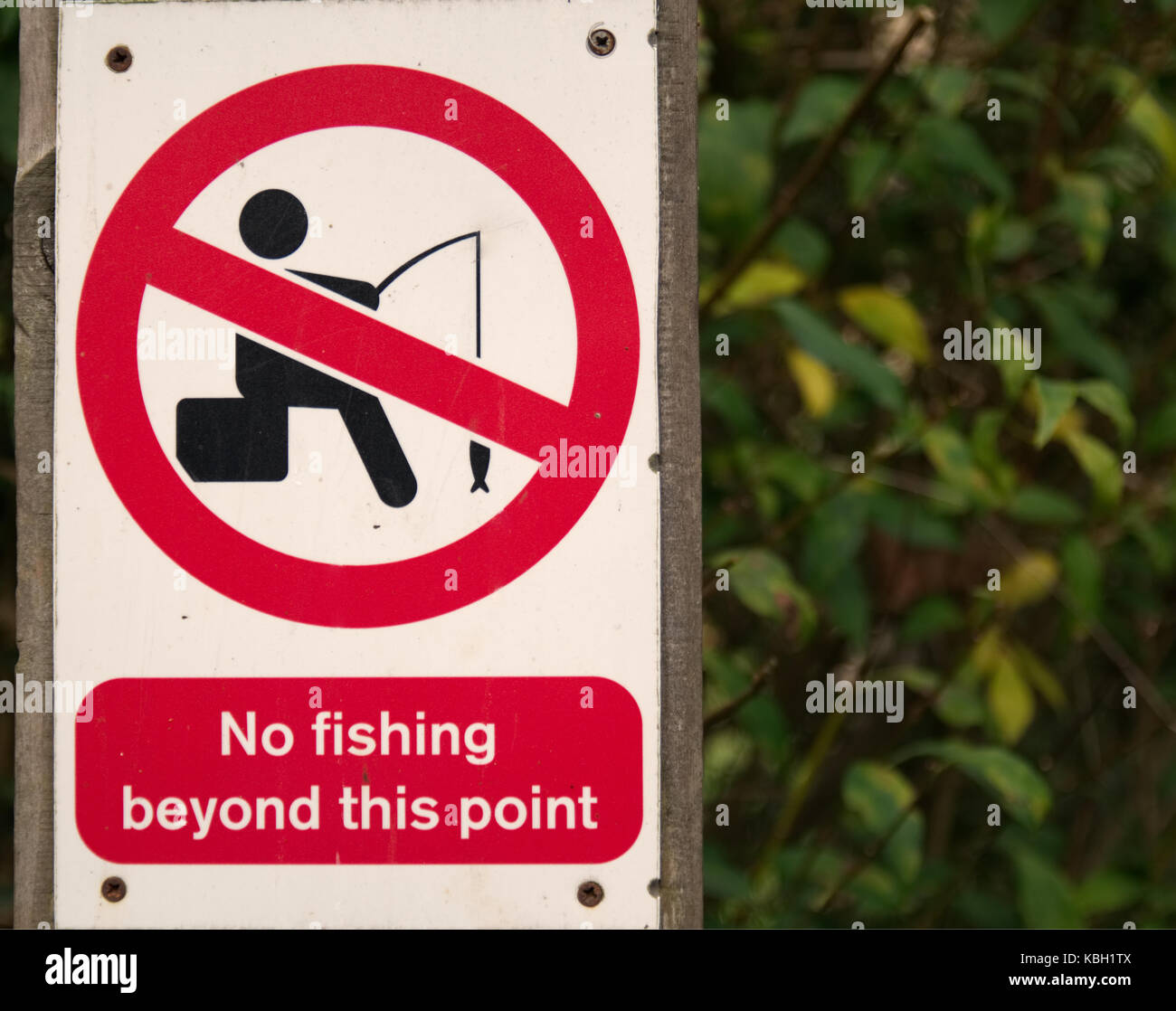 No fishing beyond this point sign on wooden post with greenery background Stock Photo