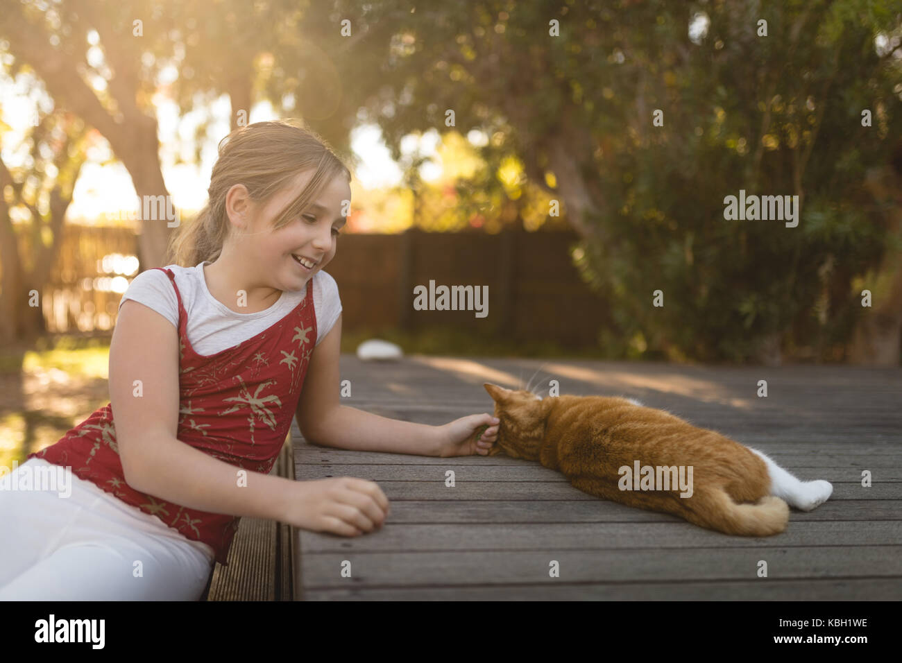 Girl playing with cat in the park on a sunny day Stock Photo - Alamy