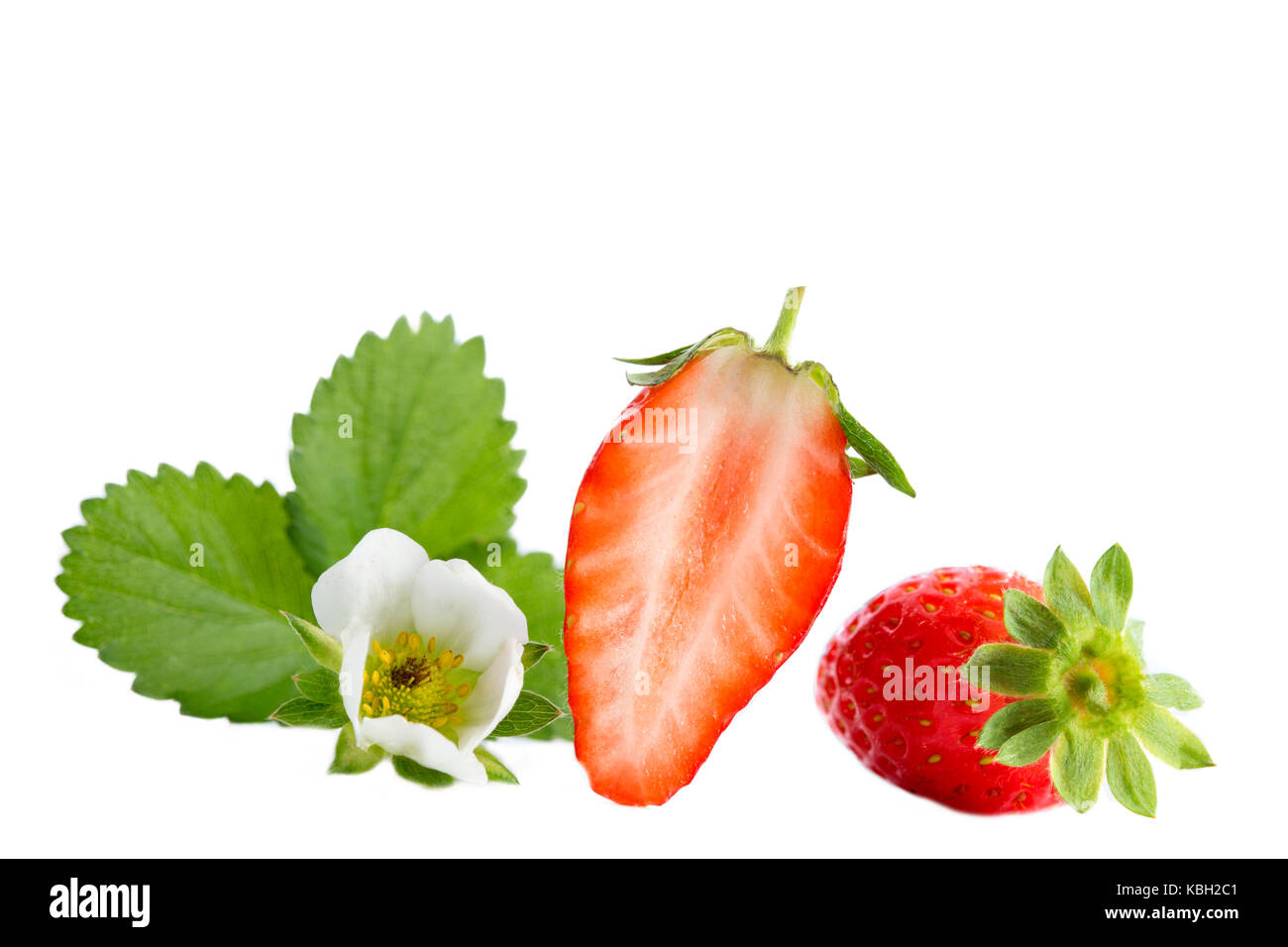 Isolated loved french strawberries gariguette. Collection of whole and