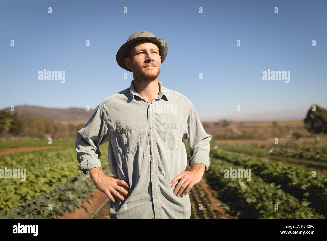 Thoughtful farmer standing in field on a sunny day Stock Photo - Alamy