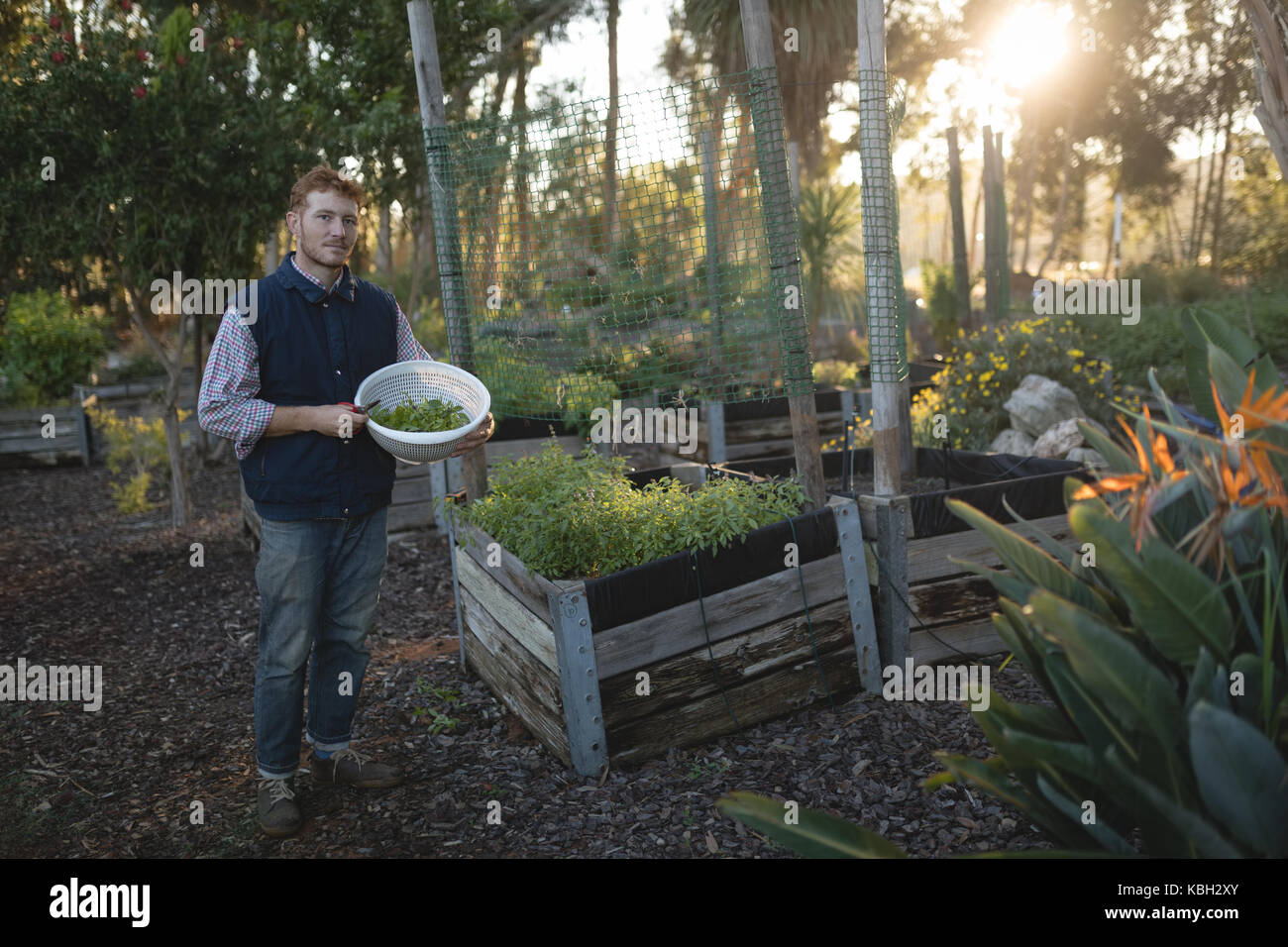Young farmer holding a basket of vegetables in the farm Stock Photo - Alamy