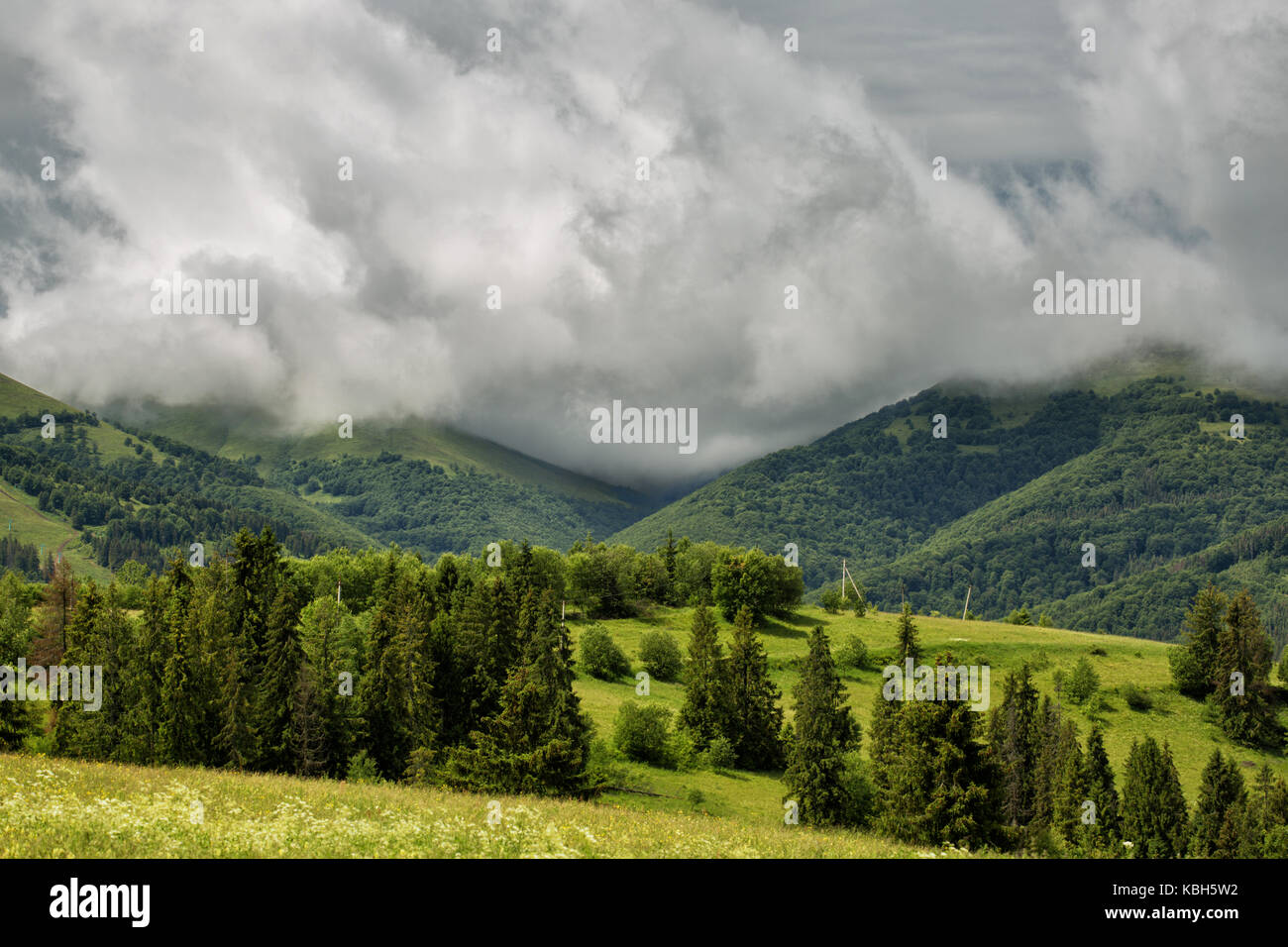 Storm clouds over the mountains and green meadows Stock Photo - Alamy
