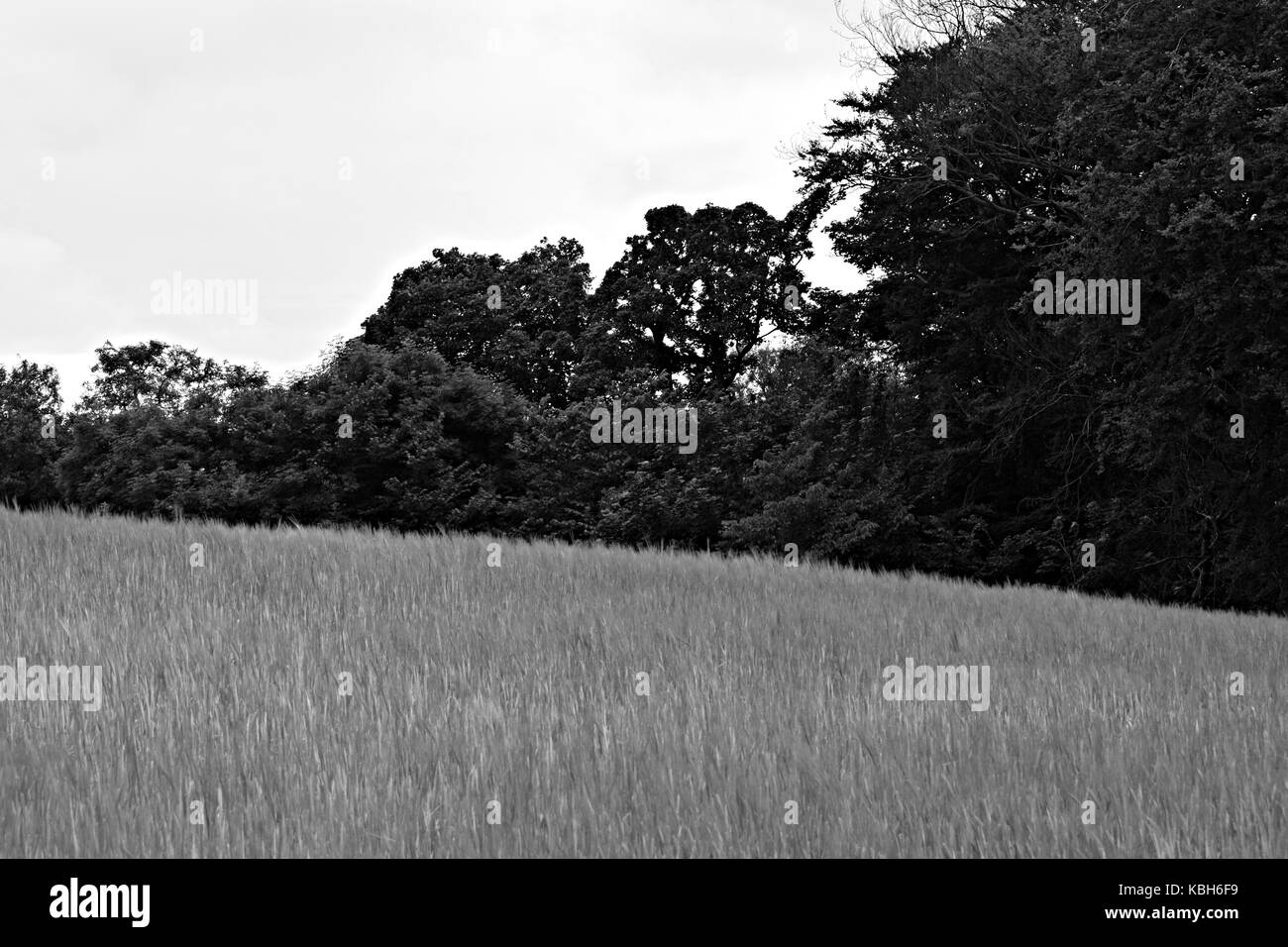 Wiliam Docherty I was walking around twechar. What is a small mining ...