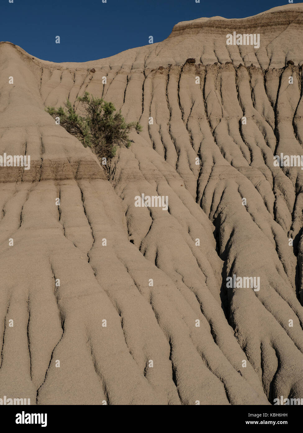 Mounds and rills, Dinosaur Provincial Park, Alberta, Canada. Stock Photo