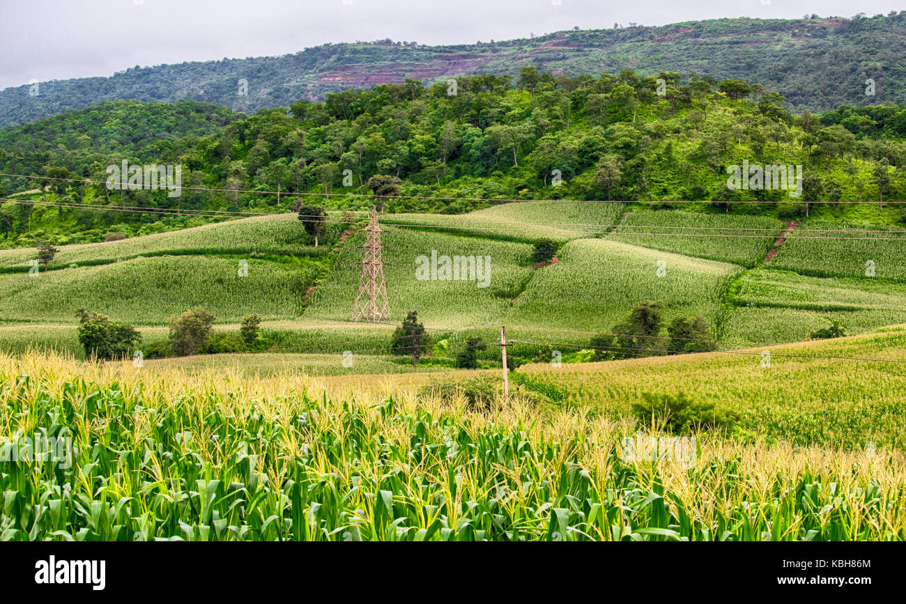 Landscape View of a beautiful fields in a countryside terrain with iron ore mountain and lush green agriculture lands Stock Photo