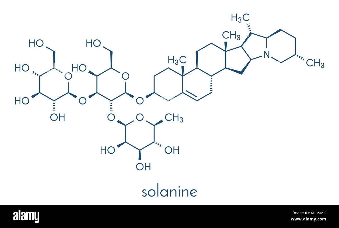 Solanine nightshade poison molecule. Present in potatoes, especially in the green parts. Skeletal formula. Stock Vector