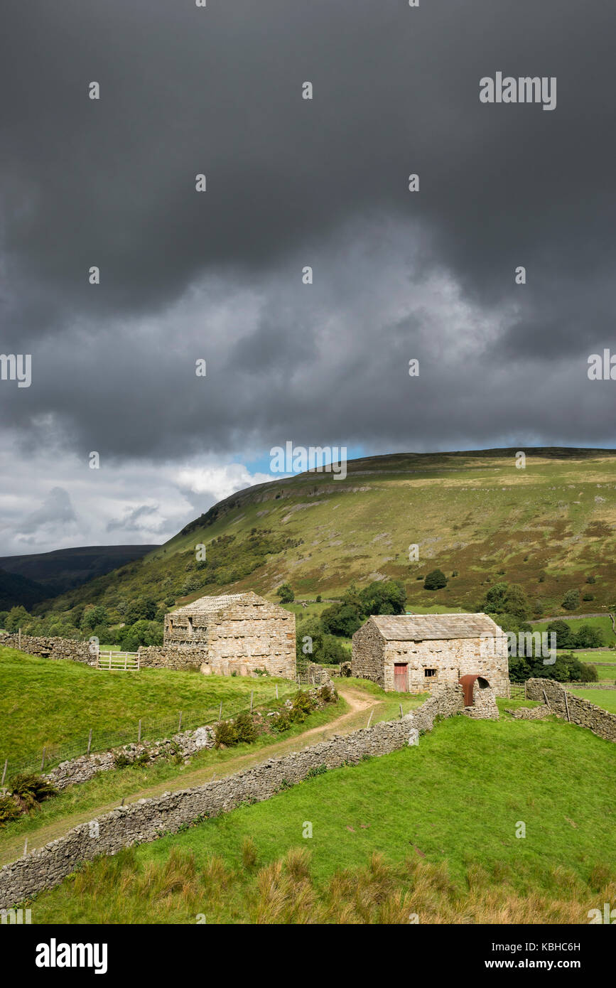 Beautiful countryside around Muker in Swaledale, Yorkshire Dales, England. Featuring the traditional stone barns or 'Cow houses' 'Cow'usses'. Stock Photo