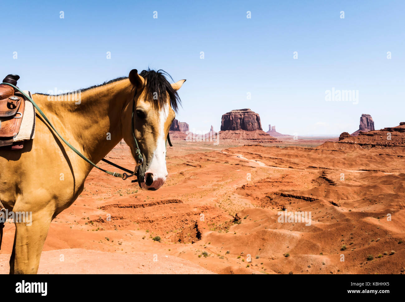 Horse at Monument Valley - Arizona, USA Stock Photo - Alamy