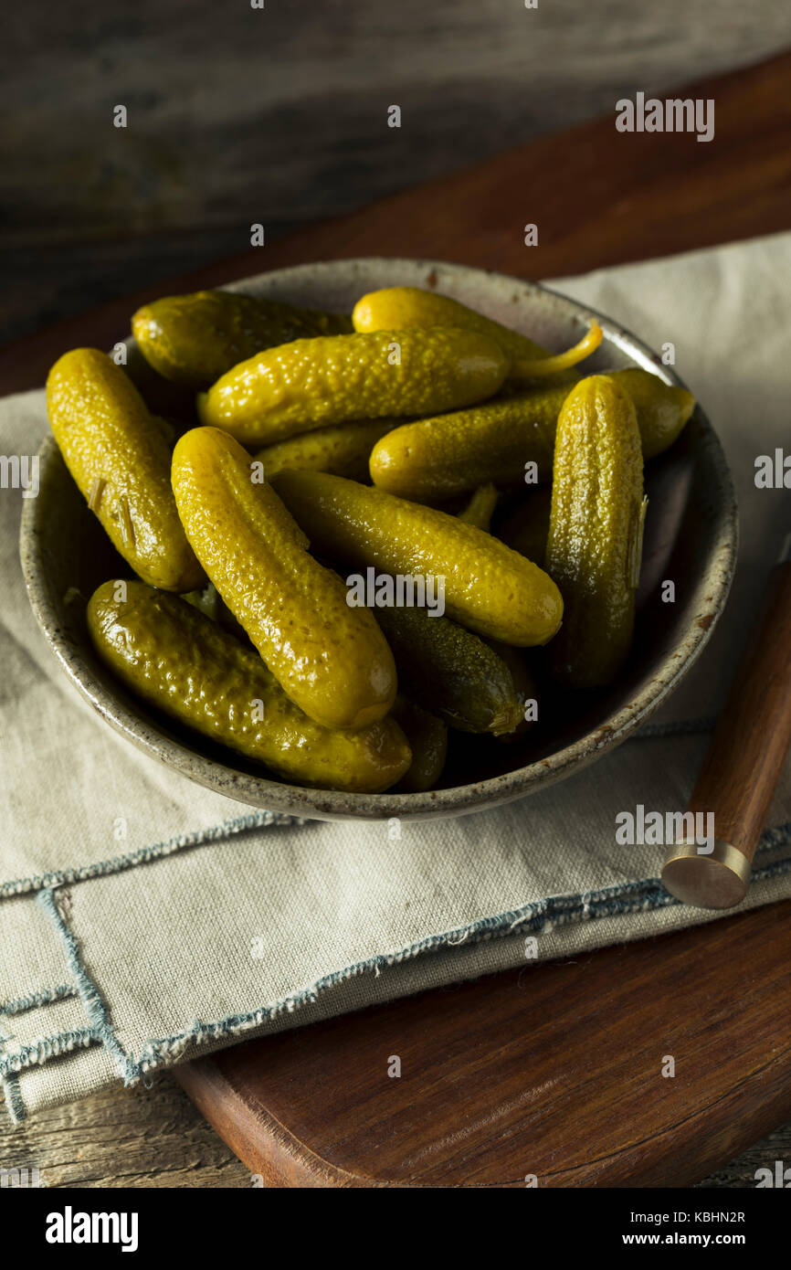 Pickled Organic Cornichon Gherkin Pickles with Dill and Spices Stock