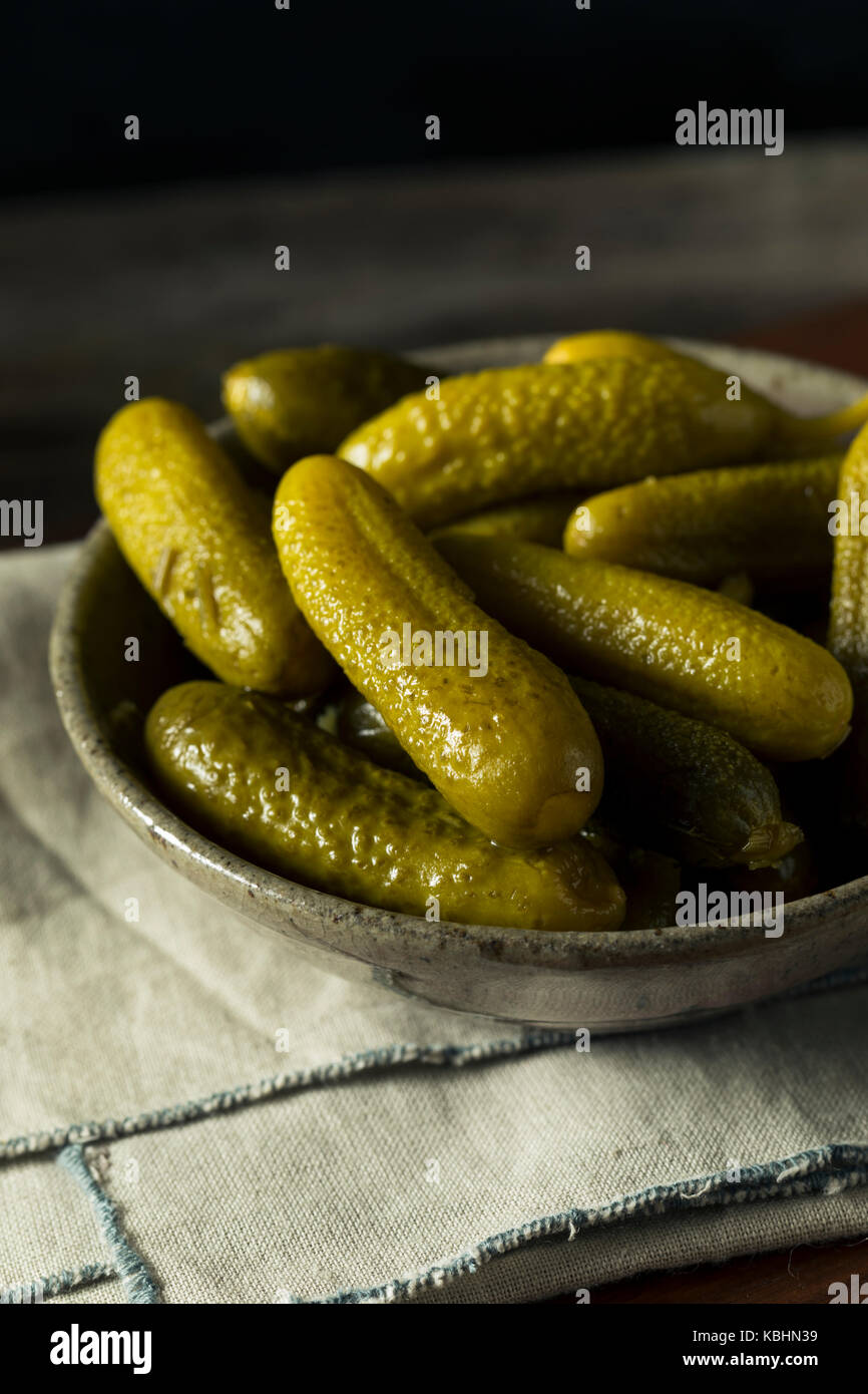 Pickled Organic Cornichon Gherkin Pickles with Dill and Spices Stock