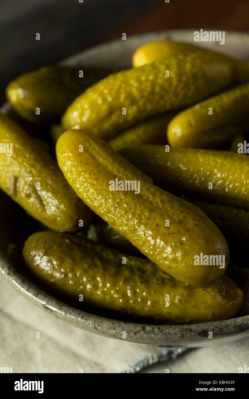 Pickled Organic Cornichon Gherkin Pickles with Dill and Spices Stock