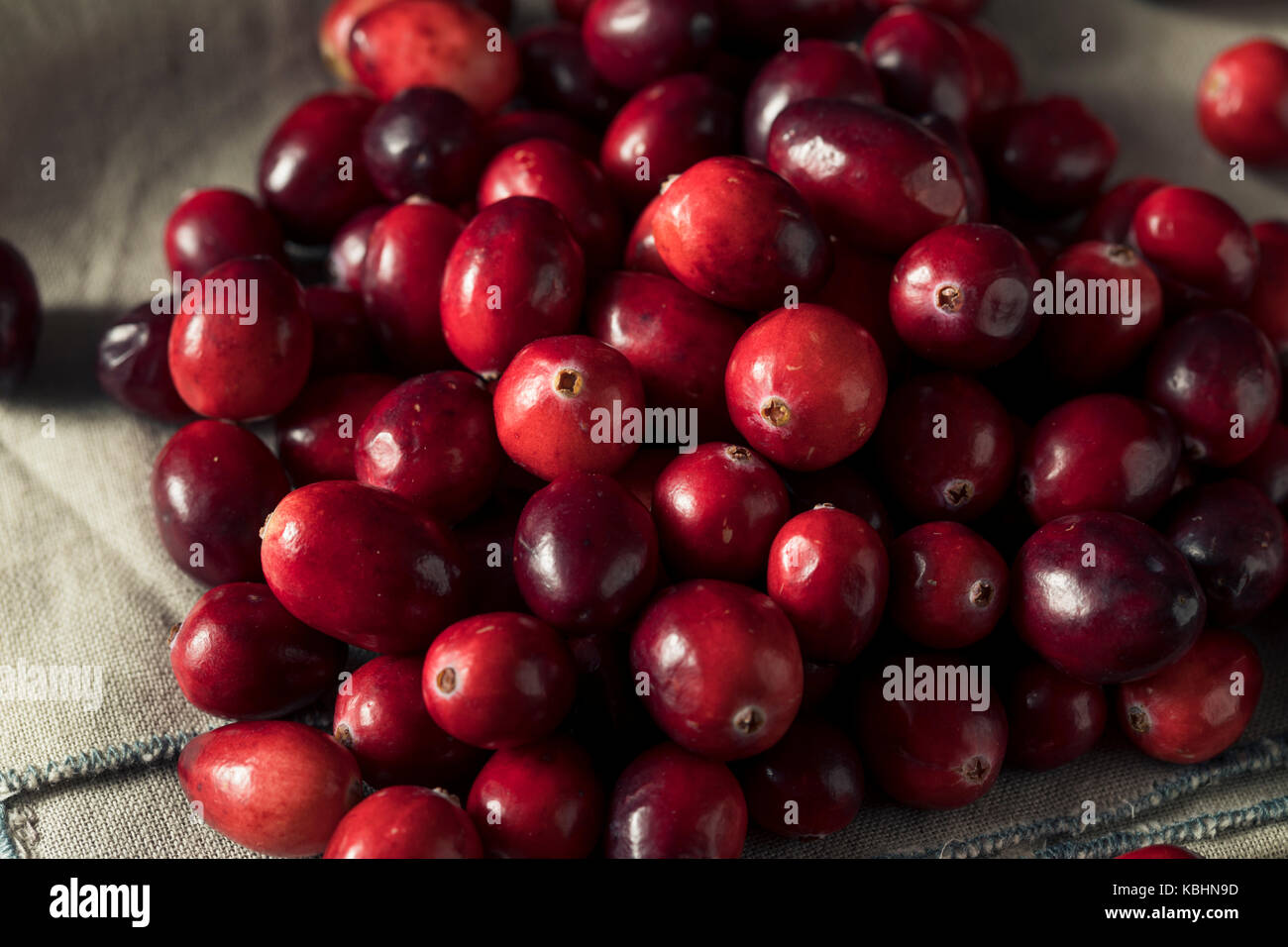 Raw Red Organic Cranberries Ready to Cook With Stock Photo Alamy