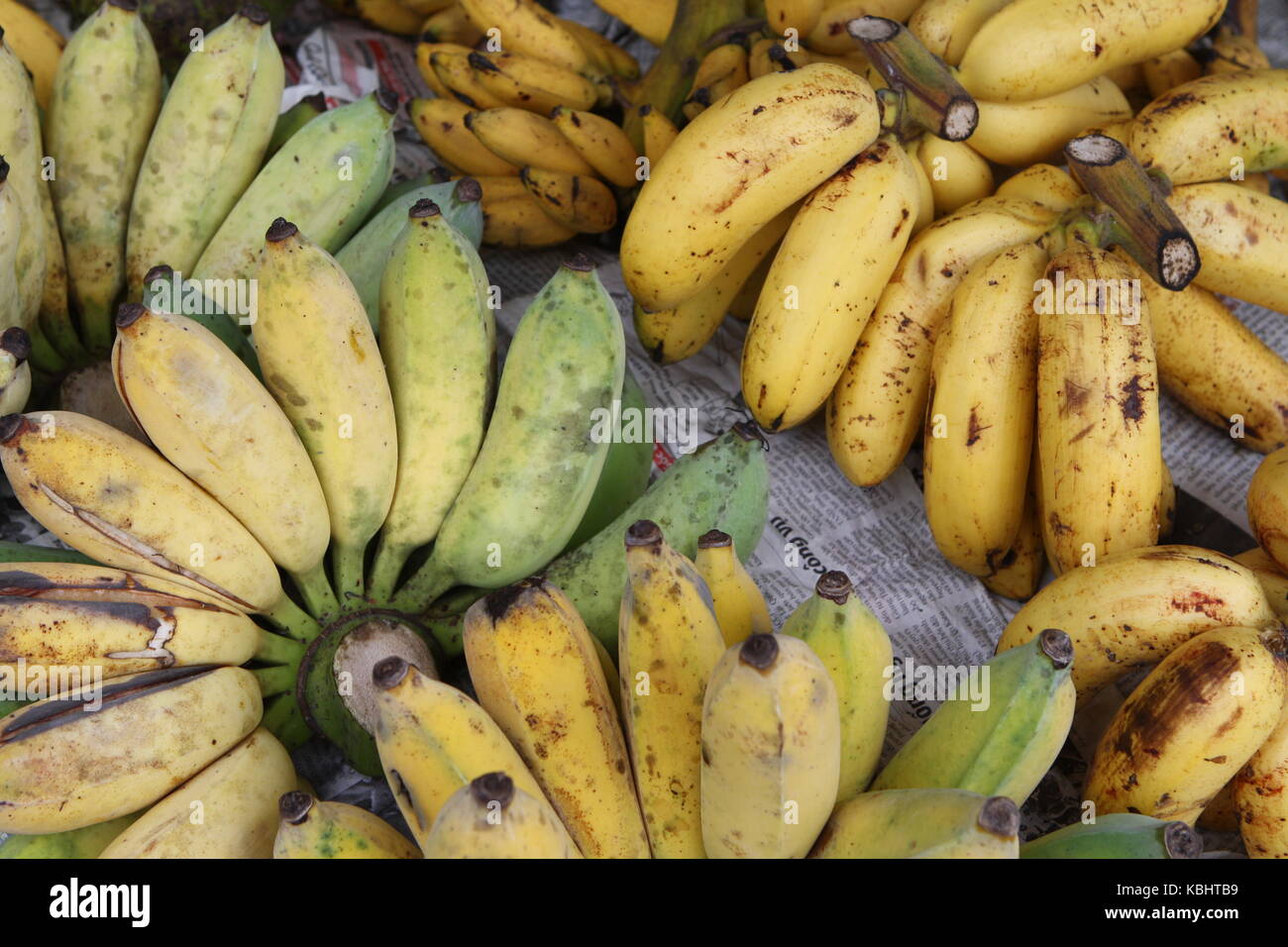 Bananen - Bananas fruits on market Stock Photo