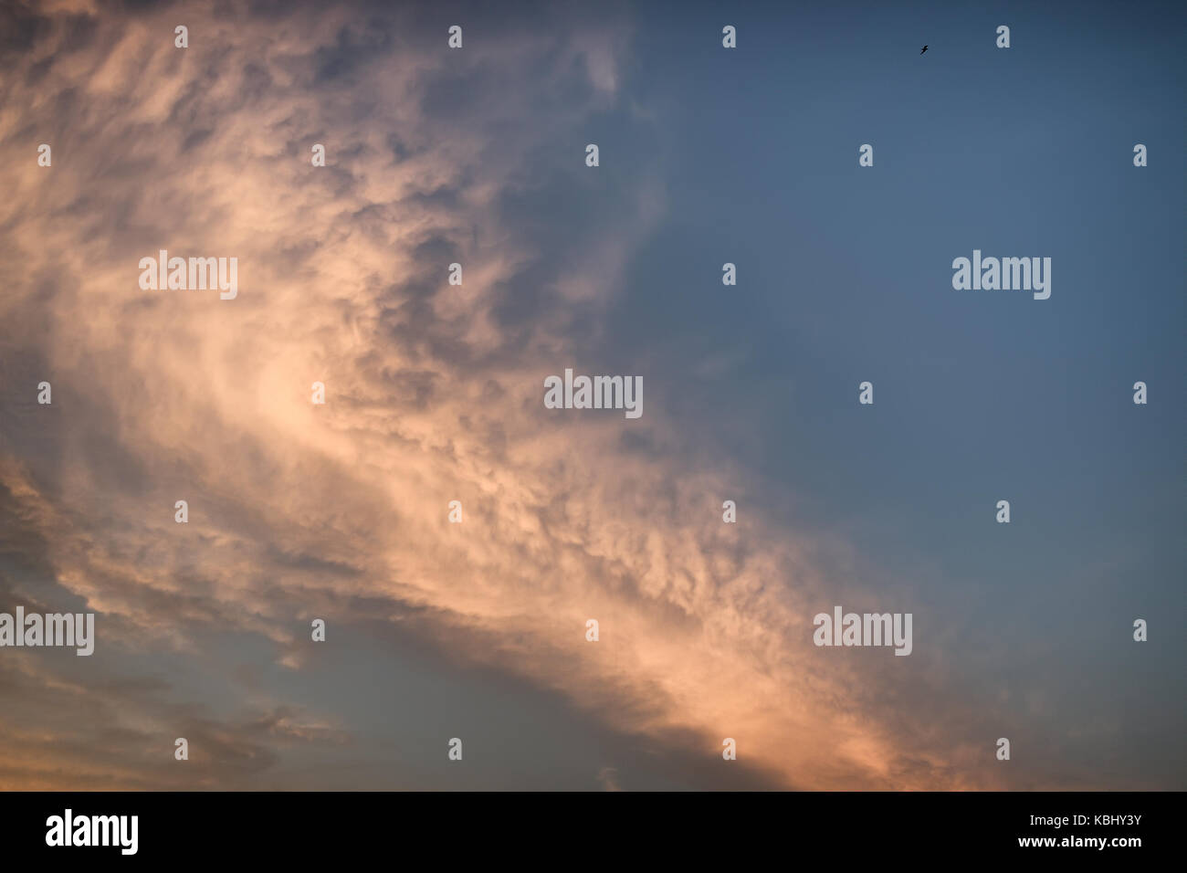 blue sky and sunset clouds Stock Photo - Alamy