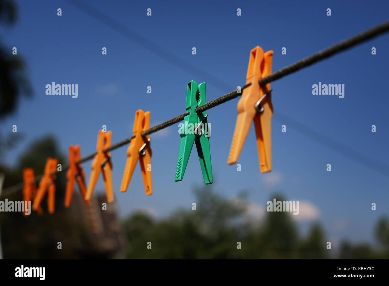 clothespin on the rope outdoor Stock Photo Alamy