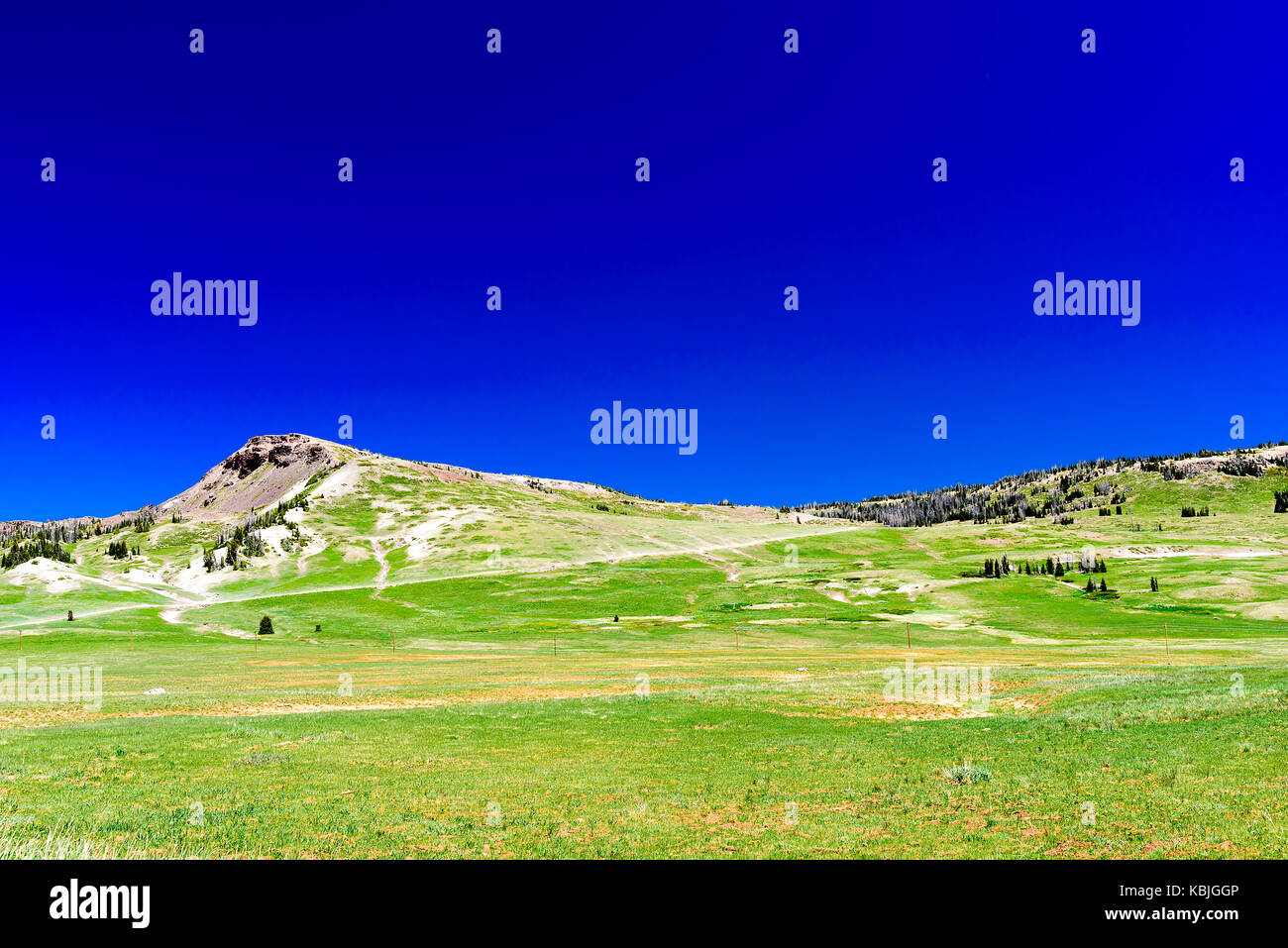 Green meadows with hills and bright blue sky Stock Photo Alamy