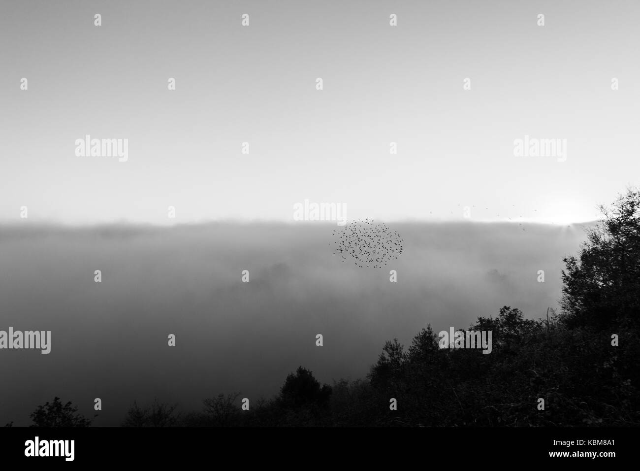 A sea of fog filling a valley at sunset, with a flock of birds flying by Stock Photo
