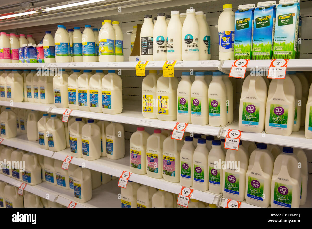 pigeon bottles coles