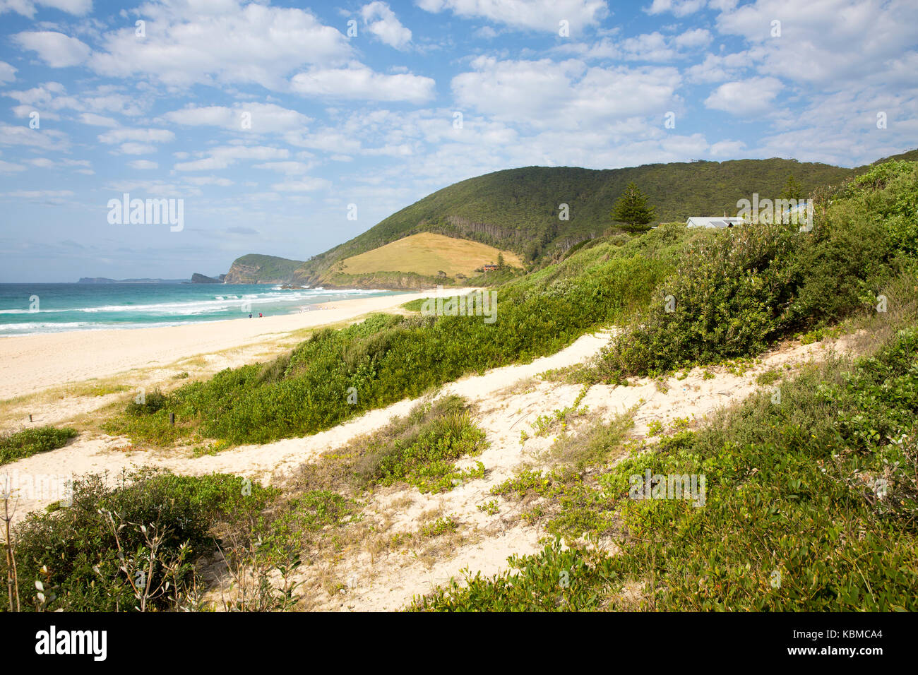 Blueys beach looking south and sand dunes being rehabilitated, mid