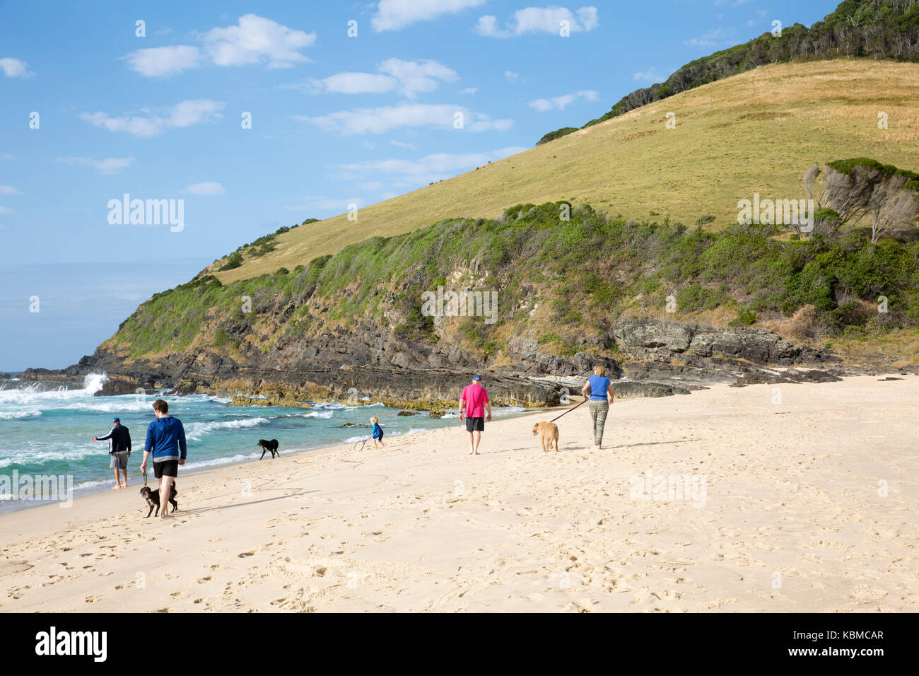 Owners walking and exercising their dog dogs on at Blueys beach on the