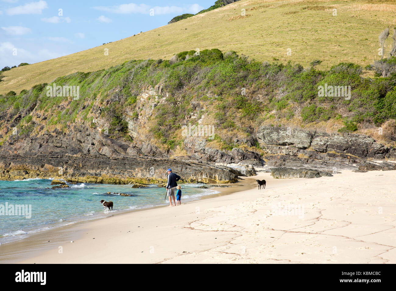 Man and child walking and exercising their two dog dogs on Blueys beach