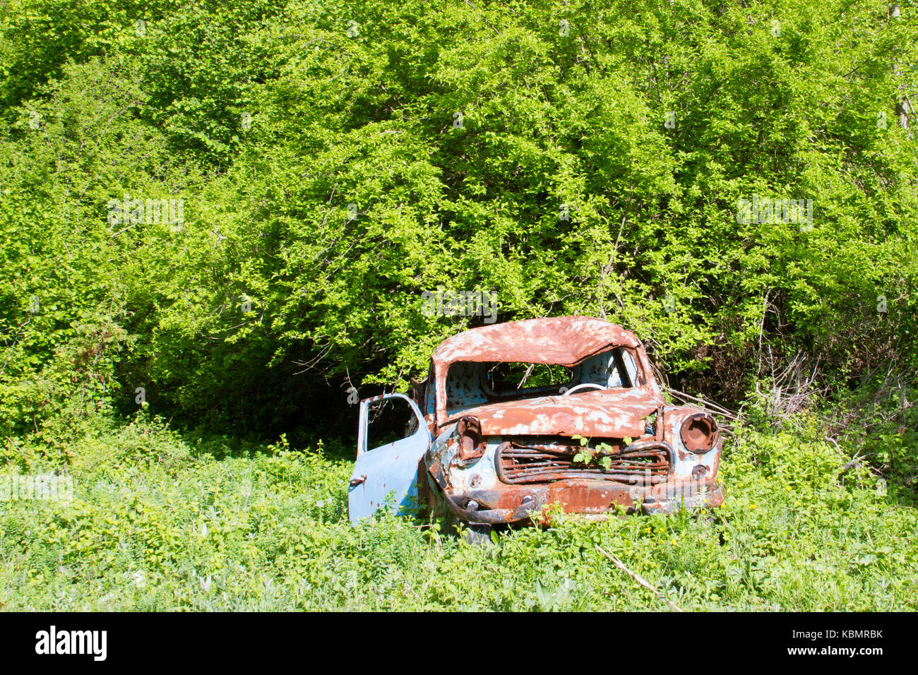 old rusty car at garden Stock Photo