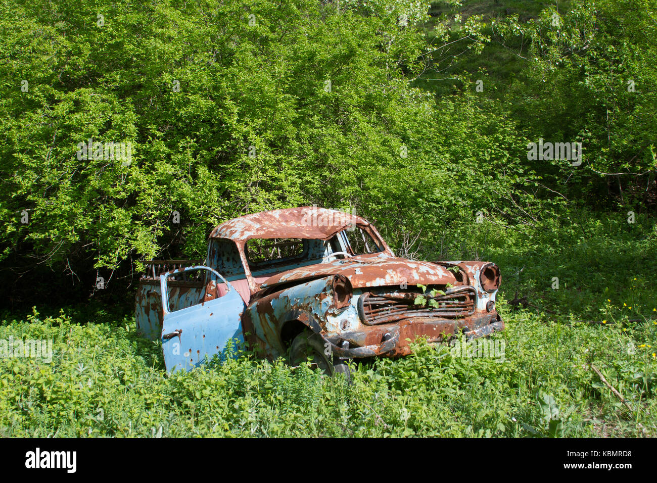 old rusty car at garden Stock Photo