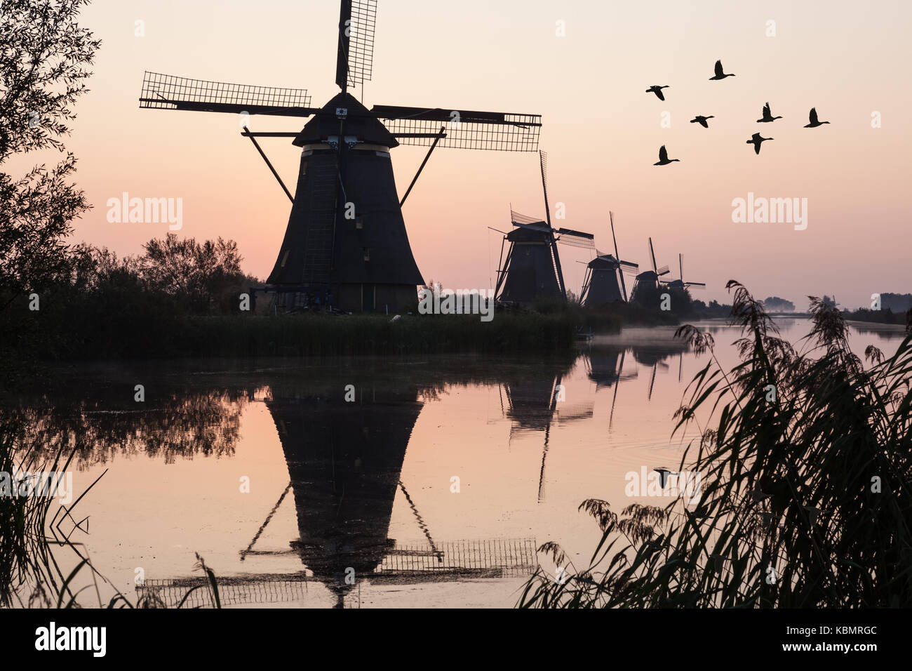fog near the windmills in Kinderdijk in Holland Stock Photo