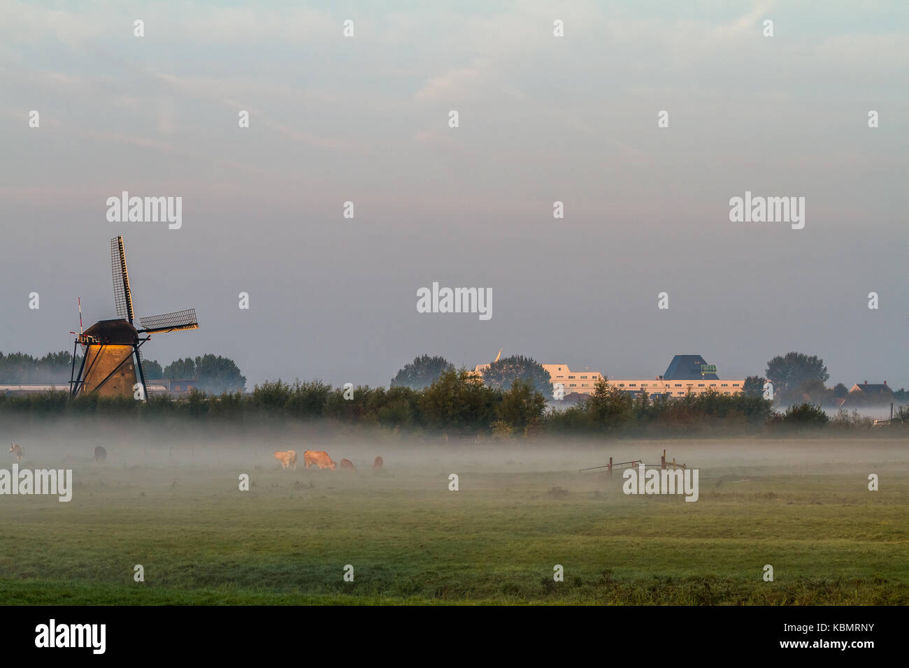 fog near the windmills in Kinderdijk in Holland Stock Photo