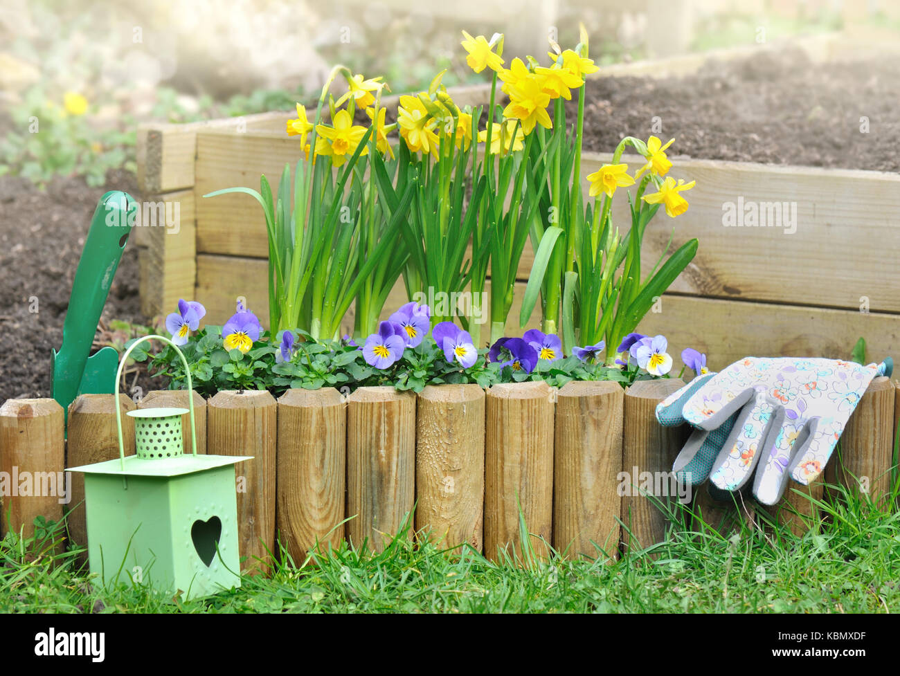flowerbed in spring border by wood in garden Stock Photo Alamy