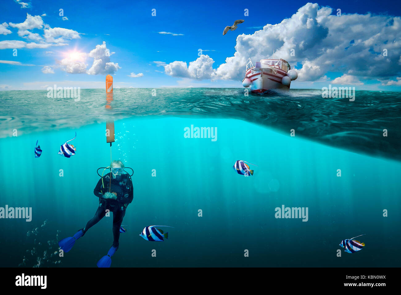 Diving makes a safety stop under the buoy and waits for the ship Stock