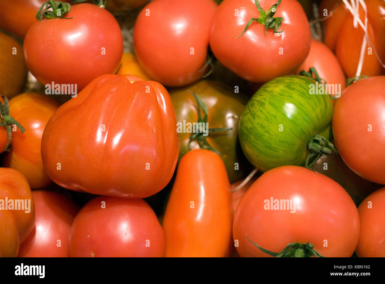 mixed-types-of-red-and-green-tomatoes-stock-photo-alamy