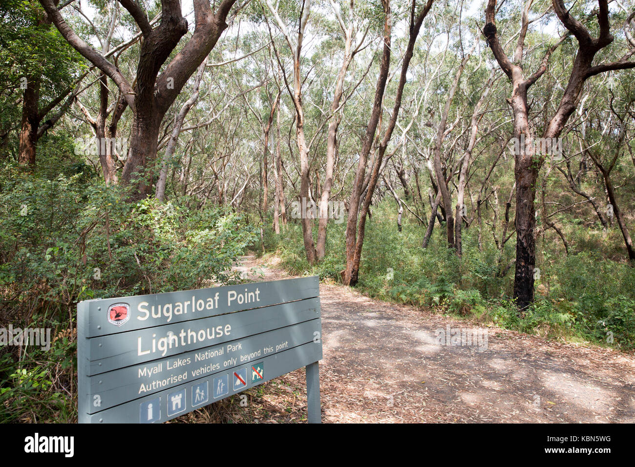 Entrance pathway to Sugarloaf Point lighthouse at Seal Rocks in Myall lakes national park,new south wales,Australia Stock Photo