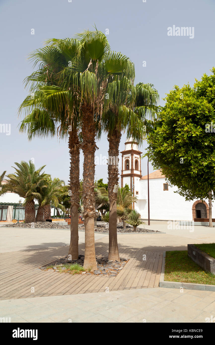 The church of Antigua, Fuerteventura. Stock Photo
