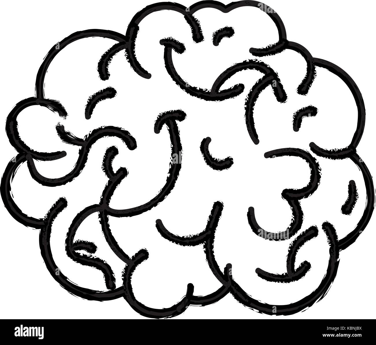 Human Brain Black and White Stock Photos & Images - Alamy