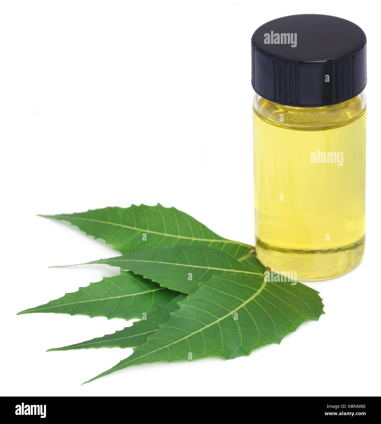 Medicinal neem extract with leaves over white background Stock Photo